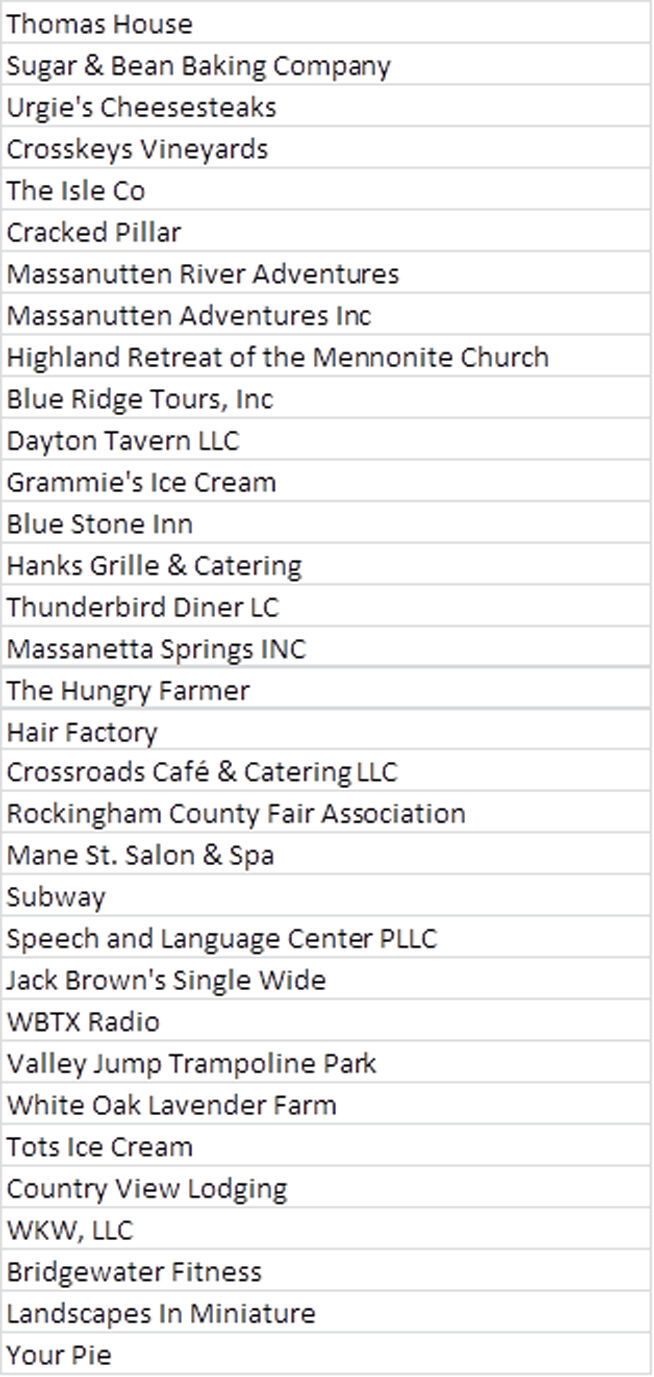 Rockingham County Small Business Grant Recipients